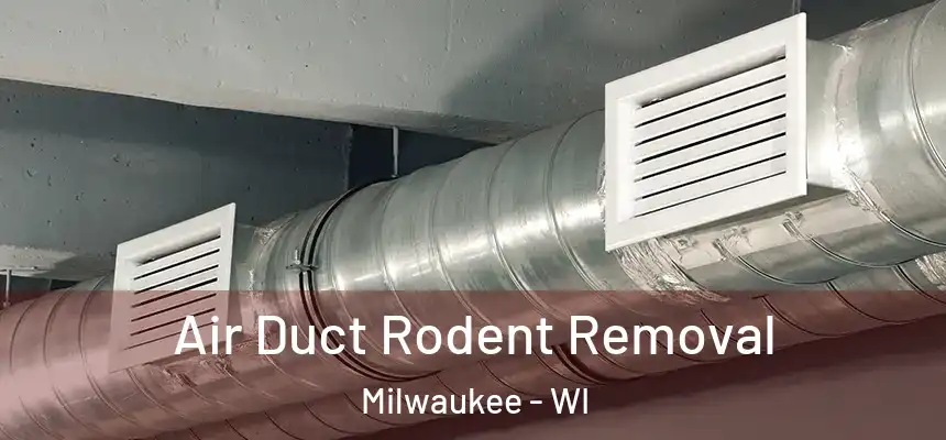  Air Duct Rodent Removal Milwaukee - WI