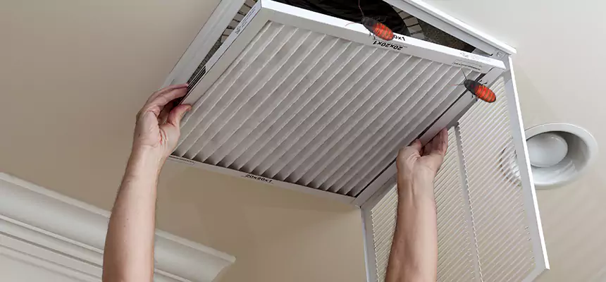 Preventive Cockroach-Proofing for Ducts in Milwaukee