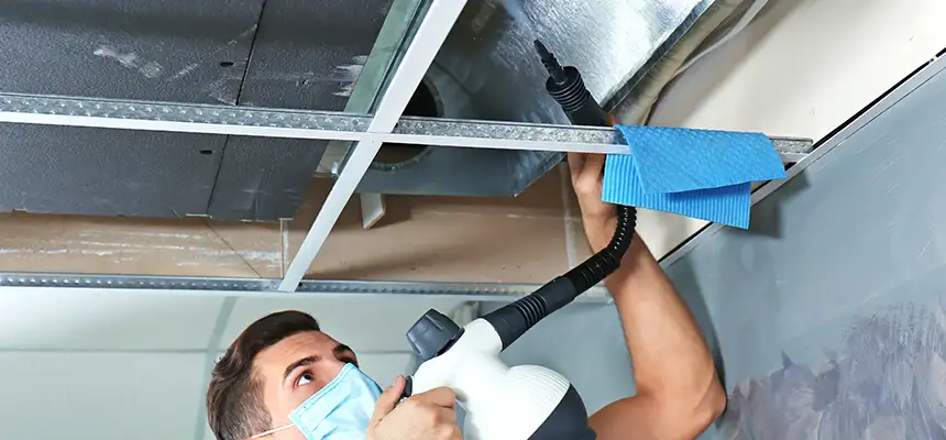 Our Air Duct Rodent Removal Services in Milwaukee, WI