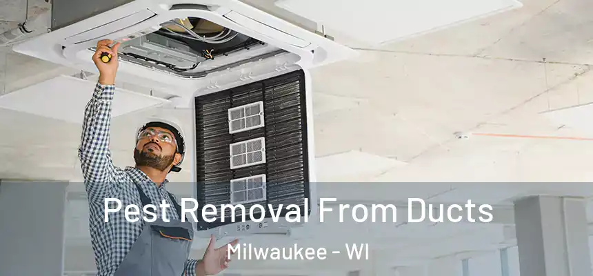 Pest Removal From Ducts Milwaukee - WI