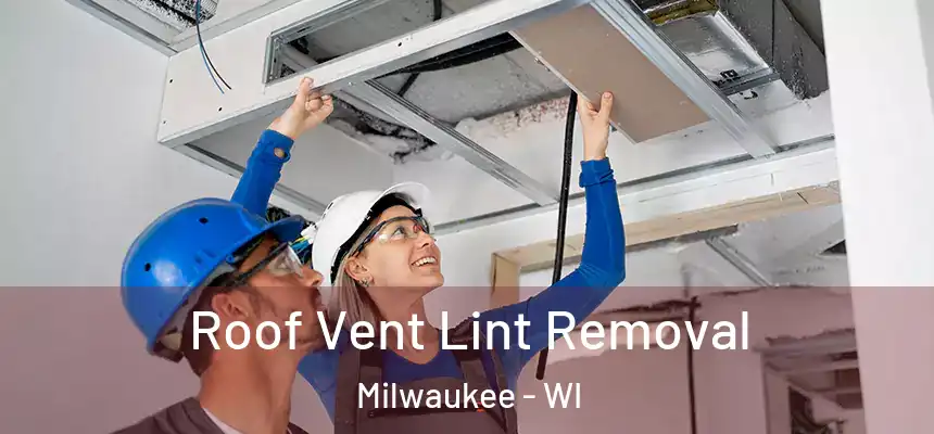  Roof Vent Lint Removal Milwaukee - WI