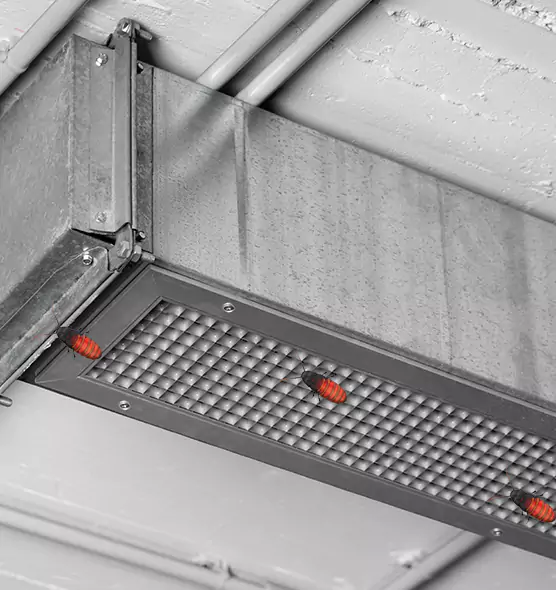 About Air Duct Cockroach Removal in Milwaukee, WI