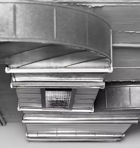 Professional Air Duct Pet Hair Removal in Milwaukee, WI