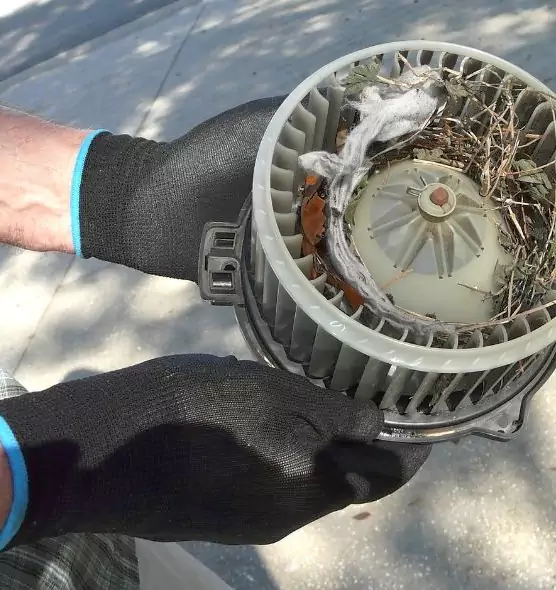 About Air Duct Rat Removal in Milwaukee, WI