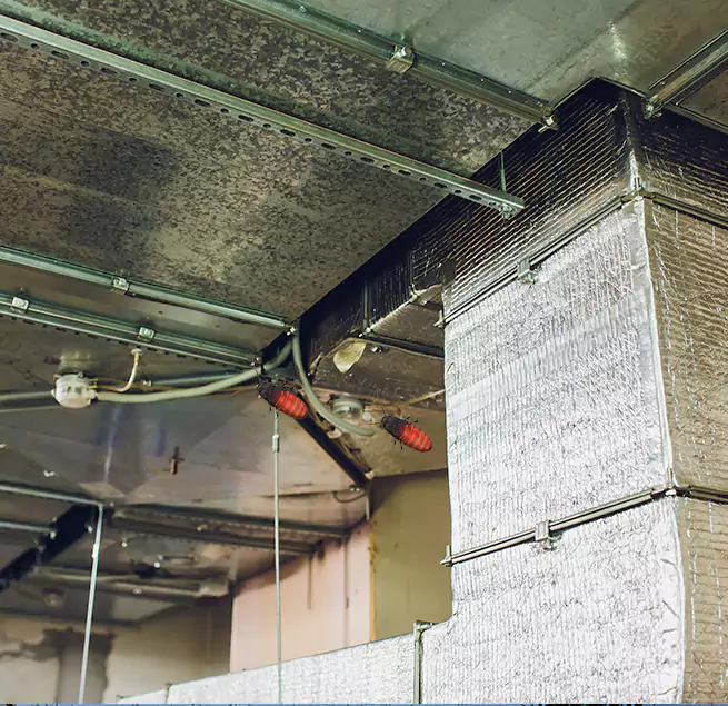 Why Homeowners & Businesses Trust Us in Milwaukee, WI?