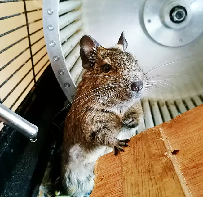 Why Homeowners & Businesses Trust Us Milwaukee, WI?