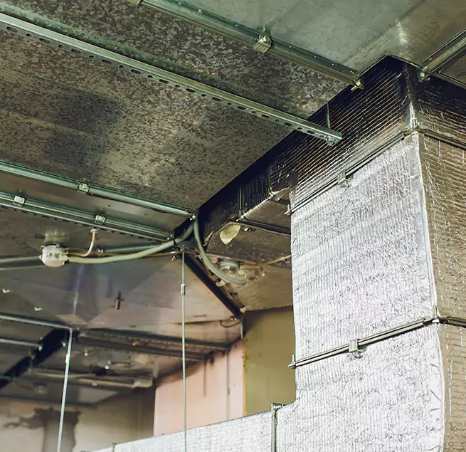 Why Homeowners & Businesses Trust Us in Milwaukee, WI?